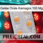 Gelée Orale Kamagra 100 Mg 24